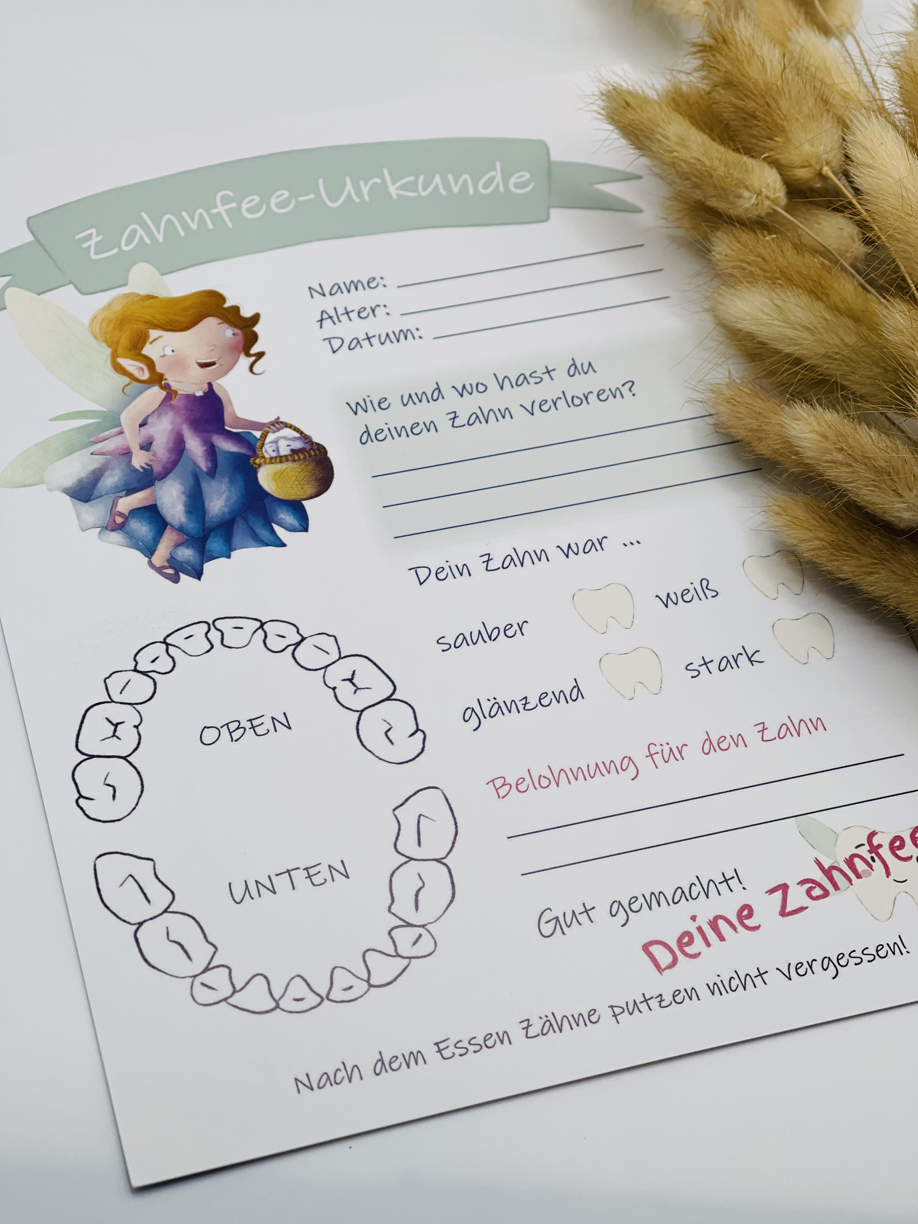 🧚‍♀️ Die Zahnfee war da!